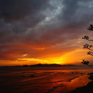 亚洲日本在线观看视频
